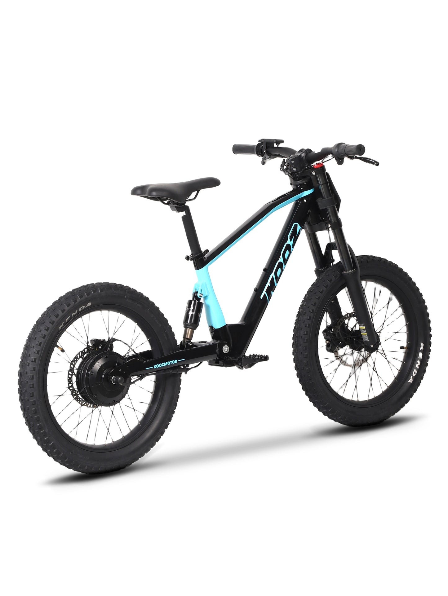 DHZ 20" 750W Electric Balance Bike, Rear Brushless Motor