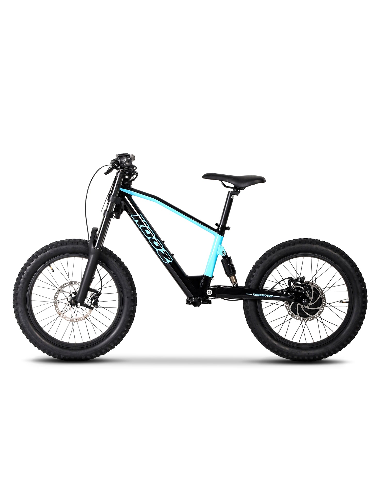 DHZ 20" 750W Electric Balance Bike, Rear Brushless Motor