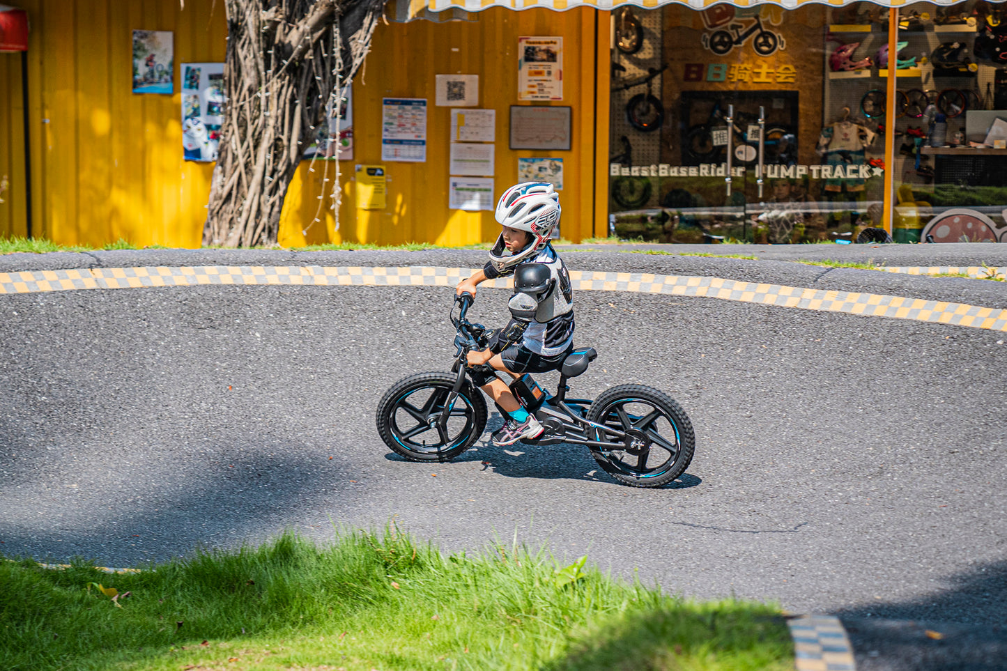 DHZ 16" 300W Electric Balance Bike, Removable Battery, Brushless Motor