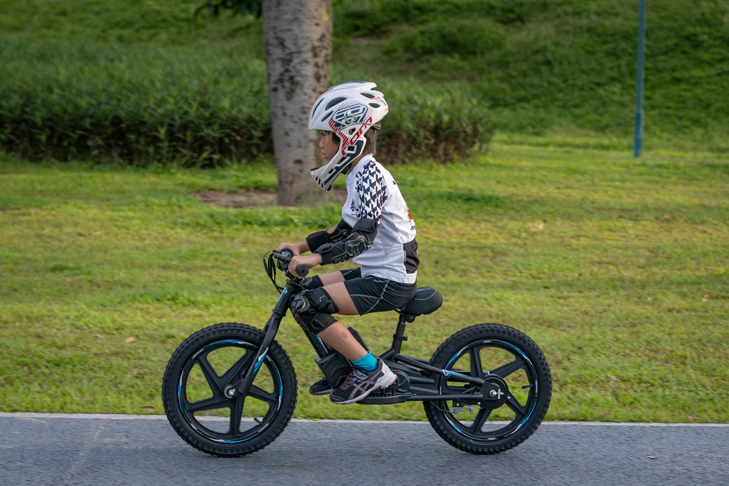 DHZ 16" 300W Electric Balance Bike, Removable Battery, Brushless Motor