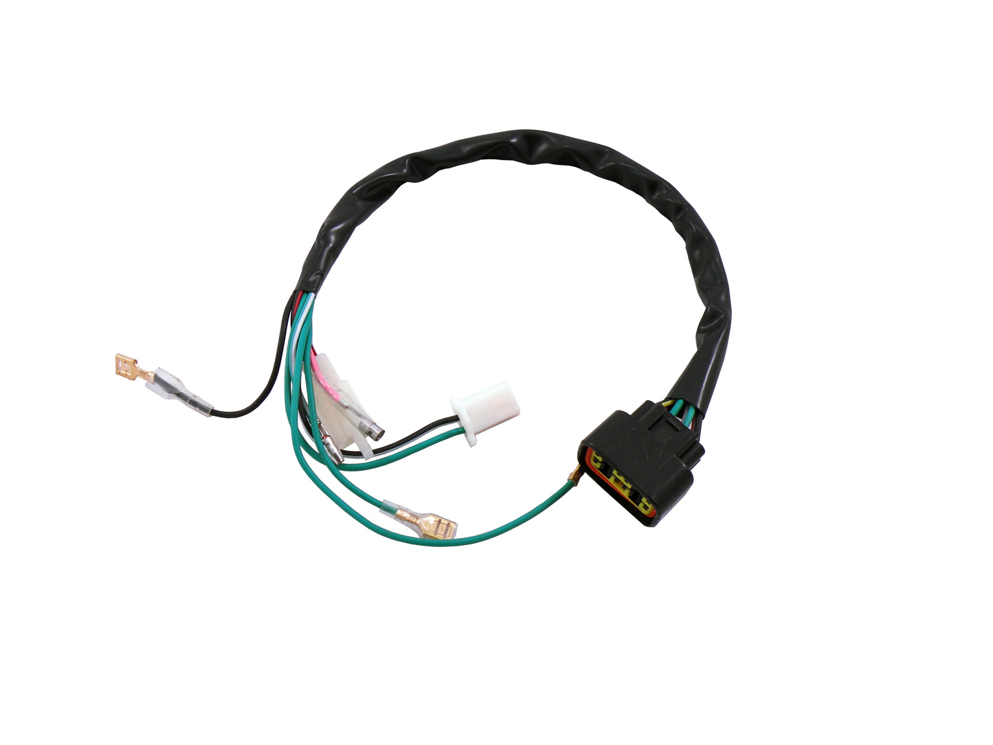 PitsterPRO 160HO, GPX 125 Engine Wiring Harness