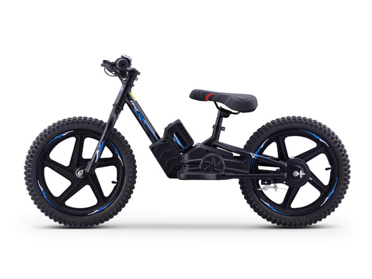 DHZ 16" 400W Electric Balance Bike, Removable Battery, Brushless Motor