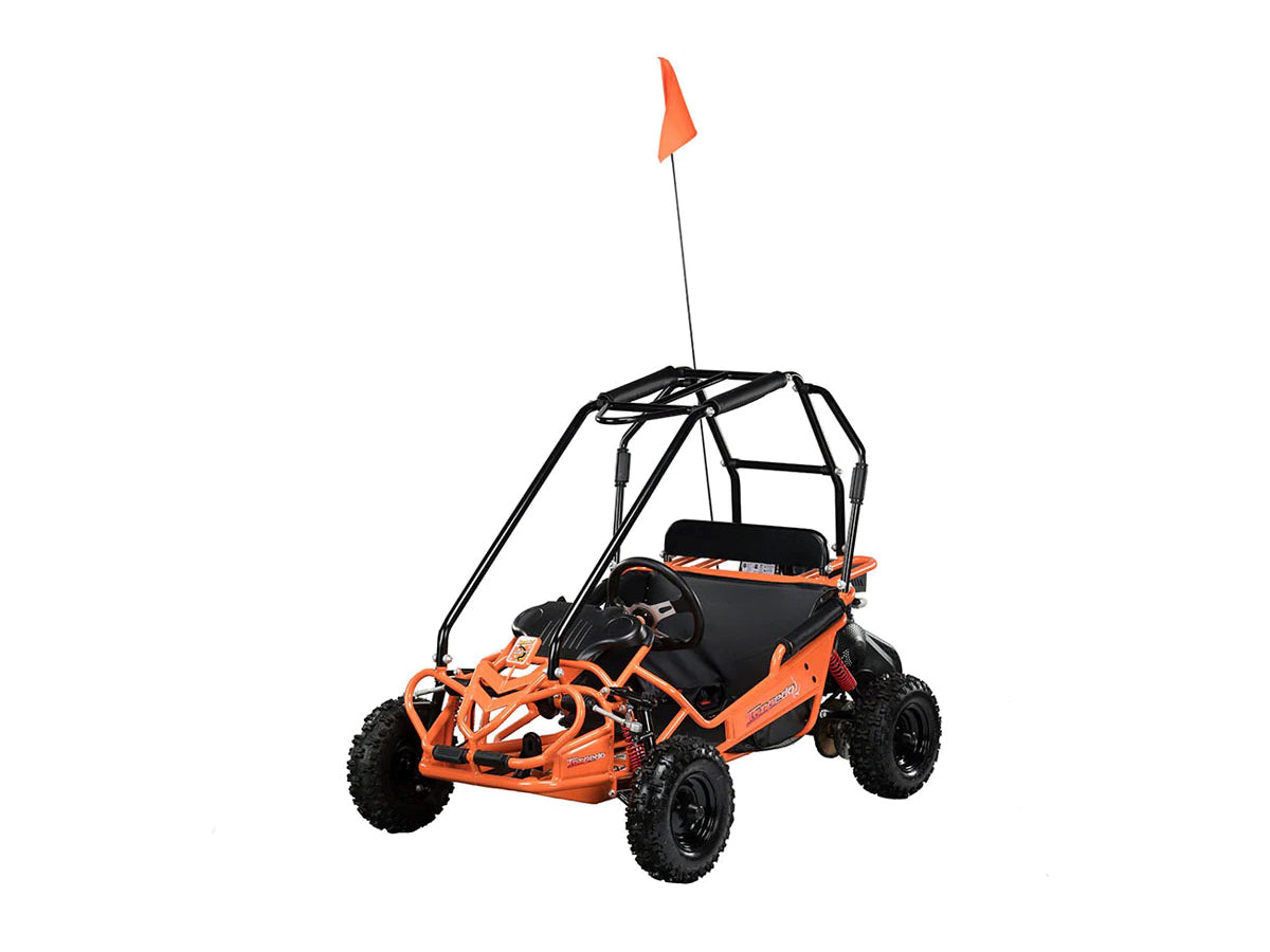 Polaris Hammerhead Torpedo 208cc Kids Buggy