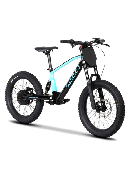 DHZ 20" 750W Electric Balance Bike, Rear Brushless Motor
