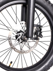DHZ 20" 750W Electric Balance Bike, Rear Brushless Motor