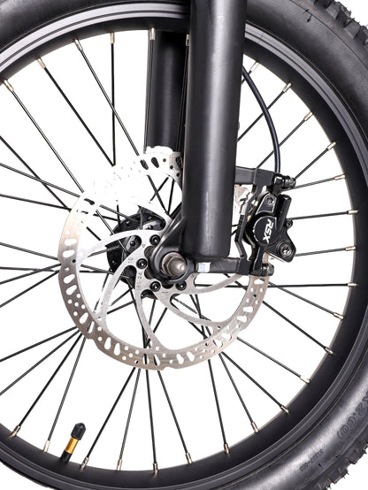 DHZ 20" 750W Electric Balance Bike, Rear Brushless Motor