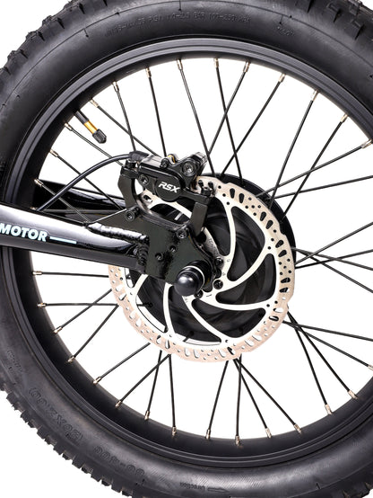 DHZ 20" 750W Electric Balance Bike, Rear Brushless Motor