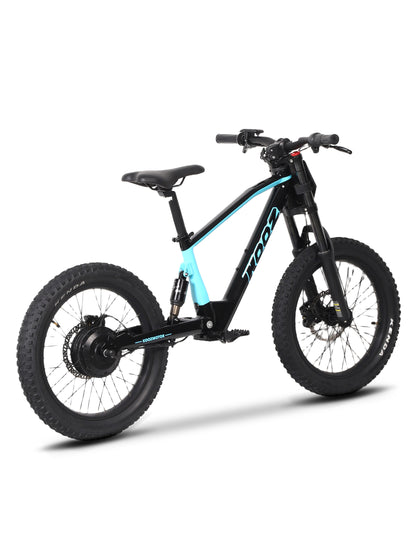 DHZ 20" 750W Electric Balance Bike, Rear Brushless Motor