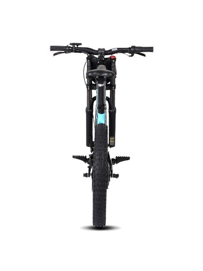 DHZ 20" 750W Electric Balance Bike, Rear Brushless Motor