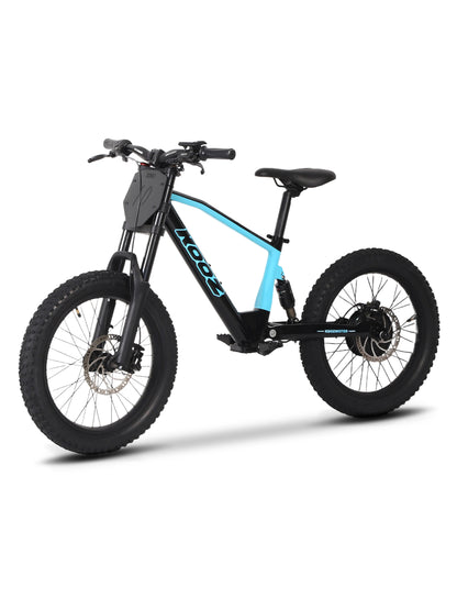 DHZ 20" 750W Electric Balance Bike, Rear Brushless Motor