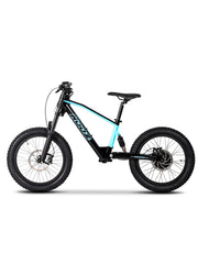 DHZ 20" 750W Electric Balance Bike, Rear Brushless Motor