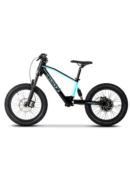 DHZ 20" 750W Electric Balance Bike, Rear Brushless Motor