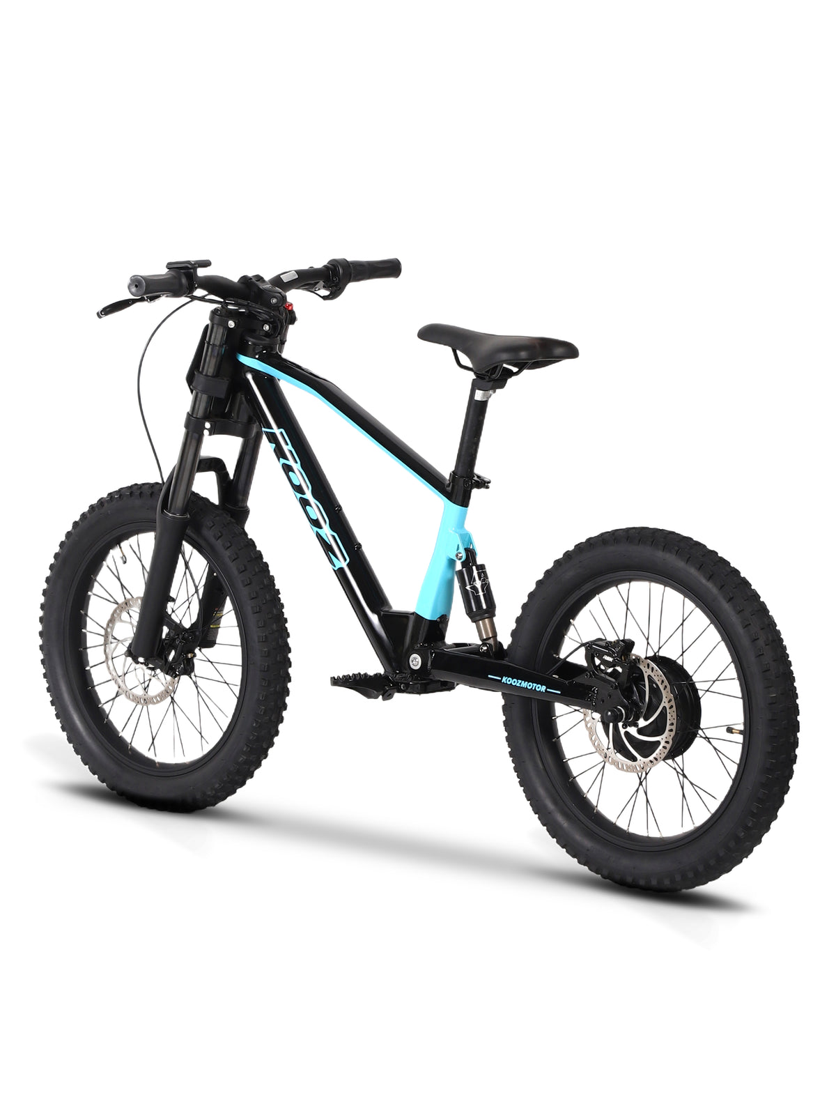 DHZ 20" 750W Electric Balance Bike, Rear Brushless Motor