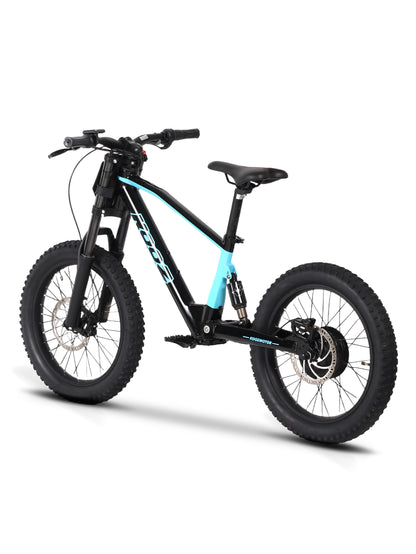DHZ 20" 750W Electric Balance Bike, Rear Brushless Motor