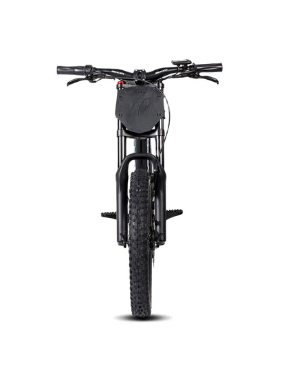 DHZ 20" 750W Electric Balance Bike, Rear Brushless Motor