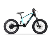 20" 750W Electric Balance Bike