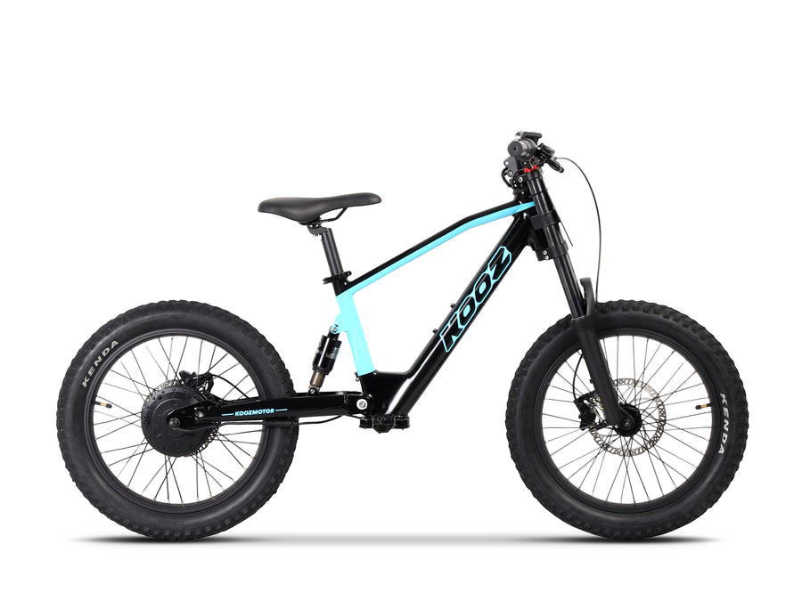 20" 750W Electric Balance Bike