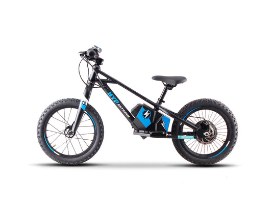 DHZ 16" 500W Electric Balance Bike, Removable Battery, Brushless Hub Motor