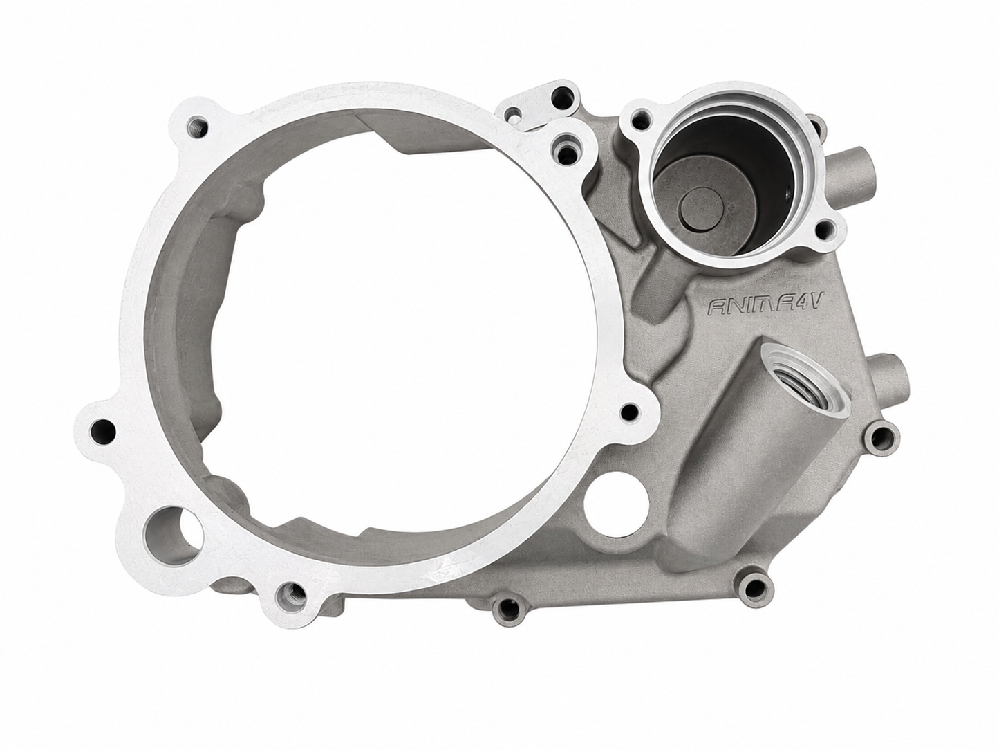Daytona Anima 150 / 190 Inner Clutch Cover&nbsp;