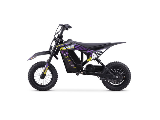 DHZ 300W Electric Kids Mini Dirt Bike, 3 Speeds Control