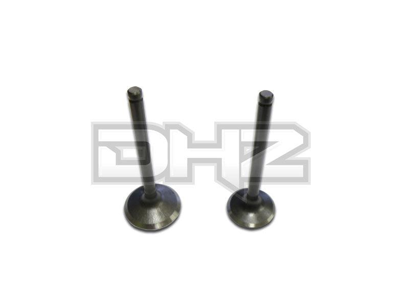 GPX125 Engine Exhaust/Inlet Valve Set