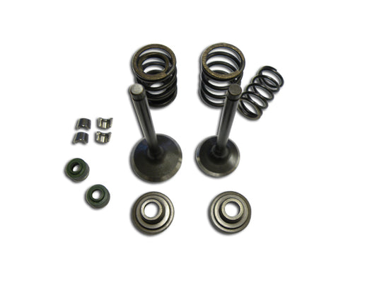 160HO Engine Exhaust/Inlet Valve Set