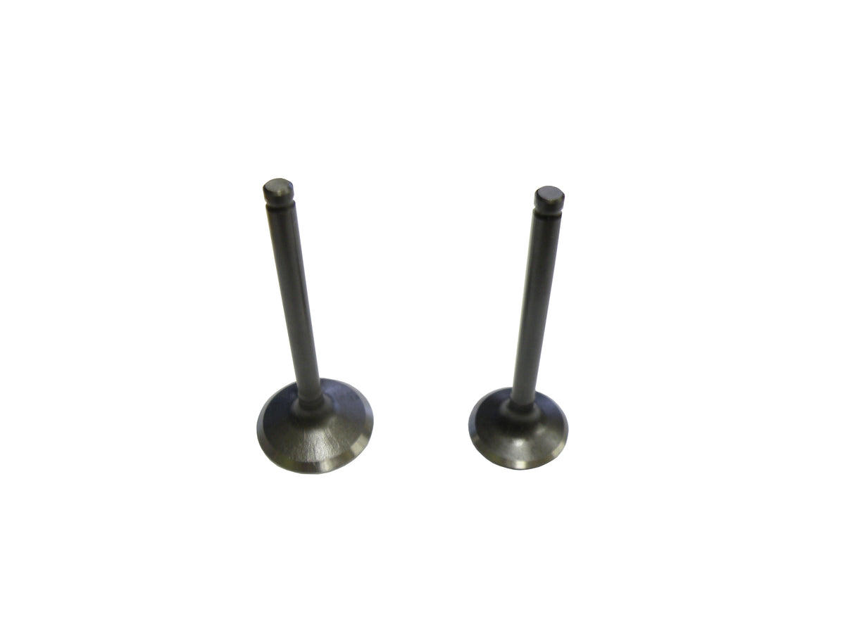 GPX125 Engine Exhaust/Inlet Valve Set