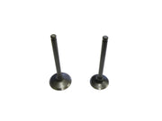 GPX125 Engine Exhaust/Inlet Valve Set