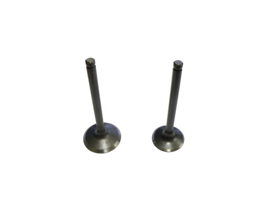 GPX125 Engine Exhaust/Inlet Valve Set