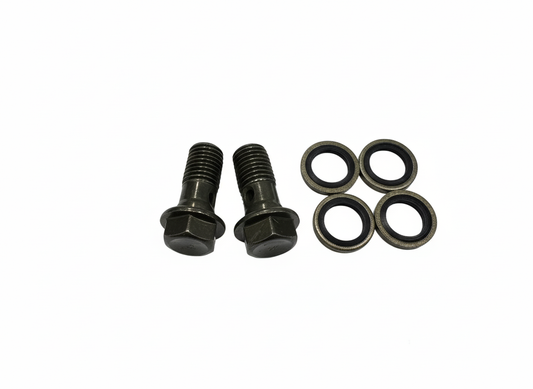 2 x 10mm (M10) Banjo Bolts with Washers