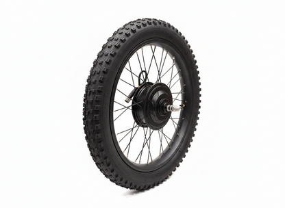 20" Complete Rear Wheel with Built-In Electric Motor, Kenda 20 x 2.60 Tyre