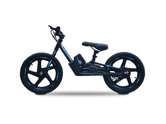 DHZ 16" 300W Electric Balance Bike, Removable Battery, Brushless Motor
