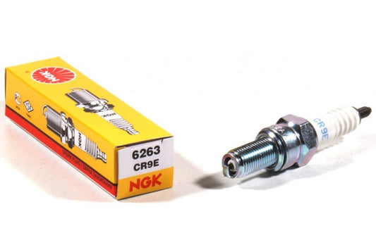 NGK Spark Plug (CR9E)