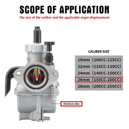 NIBBI PE 26mm Flange Carburetor 150cc-200cc