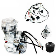 Shineray 250cc Electric Start Air Cooled Clutch Engine Motor
