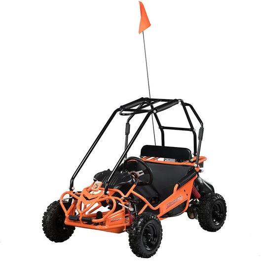 Polaris Hammerhead Torpedo 208cc Kids Buggy