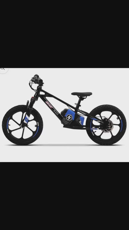 DHZ 16" 800W Electric Balance Bike, Removable Battery, Brushless Hub Motor