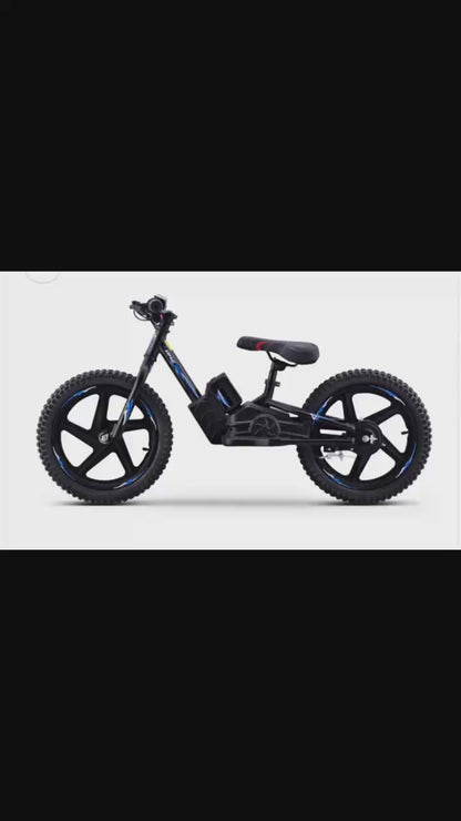 DHZ 16" 400W Electric Balance Bike, Removable Battery, Brushless Motor